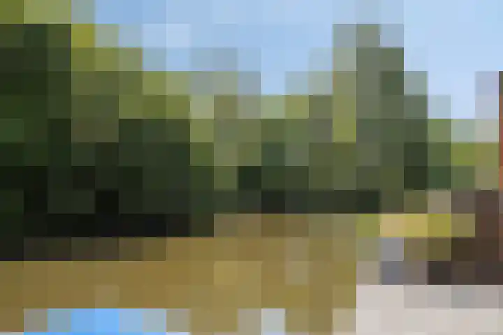 Ferdinand Huyckburg 12 Capelle aan den IJssel thumbnail 37