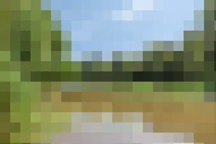 Ferdinand Huyckburg 12 Capelle aan den IJssel thumbnail 38