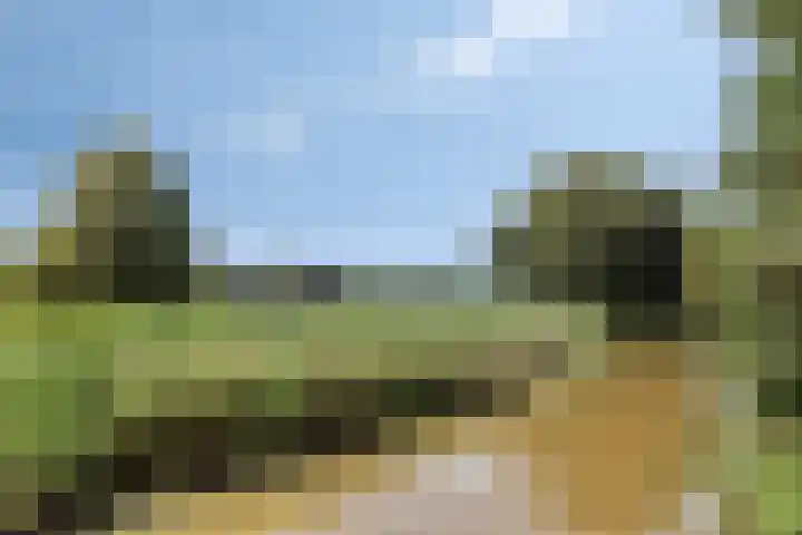 Ferdinand Huyckburg 12 Capelle aan den IJssel thumbnail 39