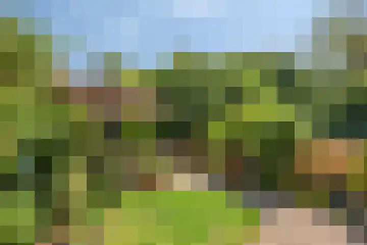 Ferdinand Huyckburg 12 Capelle aan den IJssel thumbnail 4