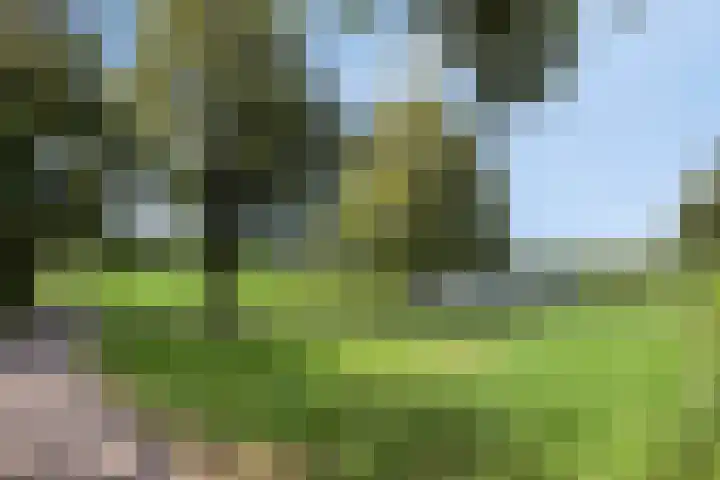 Ferdinand Huyckburg 12 Capelle aan den IJssel thumbnail 40