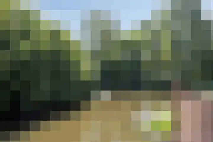 Ferdinand Huyckburg 12 Capelle aan den IJssel thumbnail 5