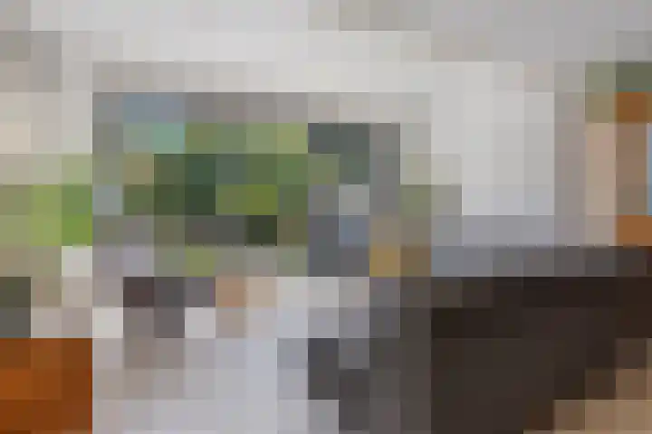 Ferdinand Huyckburg 12 Capelle aan den IJssel thumbnail 6