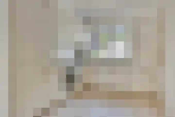 Ferdinand Huyckburg 12 Capelle aan den IJssel thumbnail 9