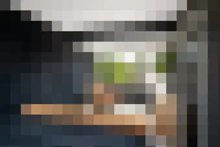 Ferdinand Huyckburg 4 Capelle aan den IJssel thumbnail 12