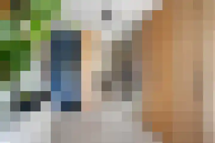 Ferdinand Huyckburg 4 Capelle aan den IJssel thumbnail 14