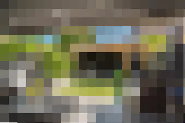 Ferdinand Huyckburg 4 Capelle aan den IJssel thumbnail 22