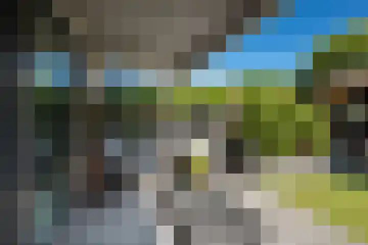 Ferdinand Huyckburg 4 Capelle aan den IJssel thumbnail 23