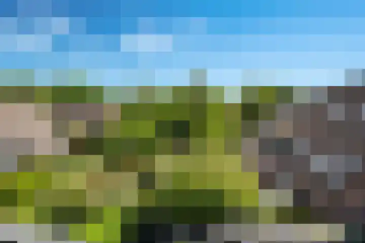 Ferdinand Huyckburg 4 Capelle aan den IJssel thumbnail 26