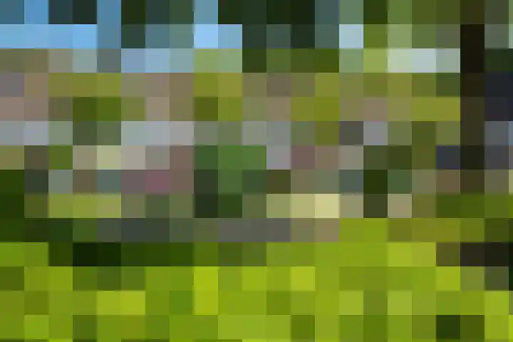 Ferdinand Huyckburg 4 Capelle aan den IJssel thumbnail 27