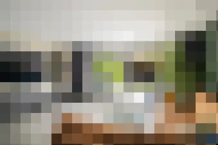 Ferdinand Huyckburg 4 Capelle aan den IJssel thumbnail 5