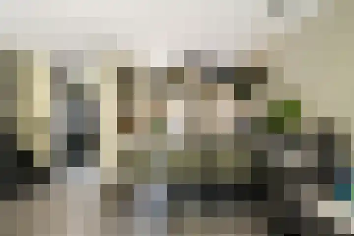 Ferdinand Huyckburg 4 Capelle aan den IJssel thumbnail 7