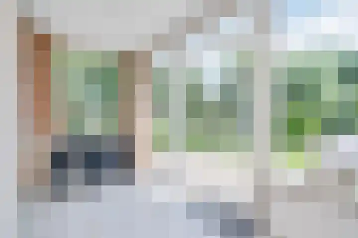 Ferdinand Huyckburg 53 Capelle aan den IJssel thumbnail 10