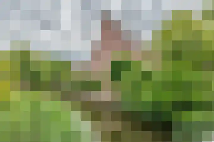 Ferdinand Huyckburg 53 Capelle aan den IJssel thumbnail 31