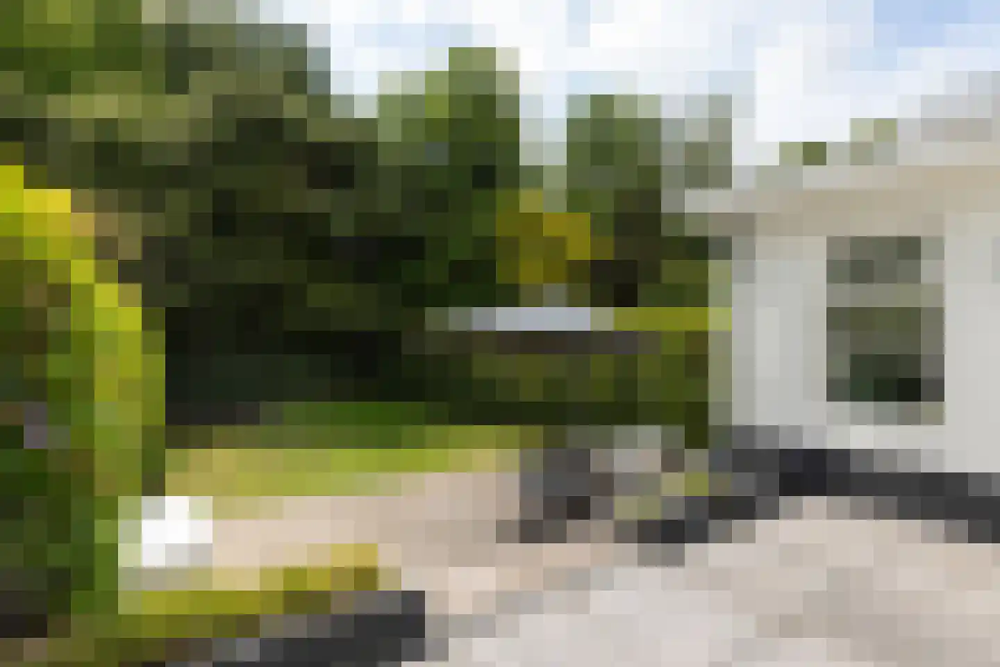 Ferdinand Huycklaan 15 Baarn thumbnail 39