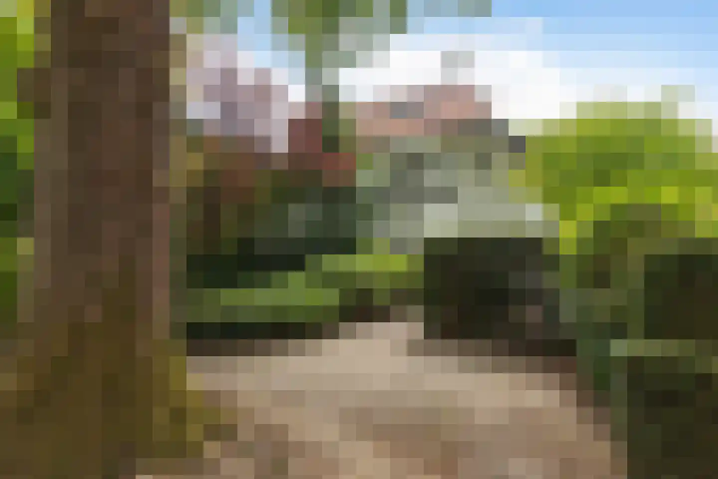 Ferdinand Huycklaan 15 Baarn thumbnail 44