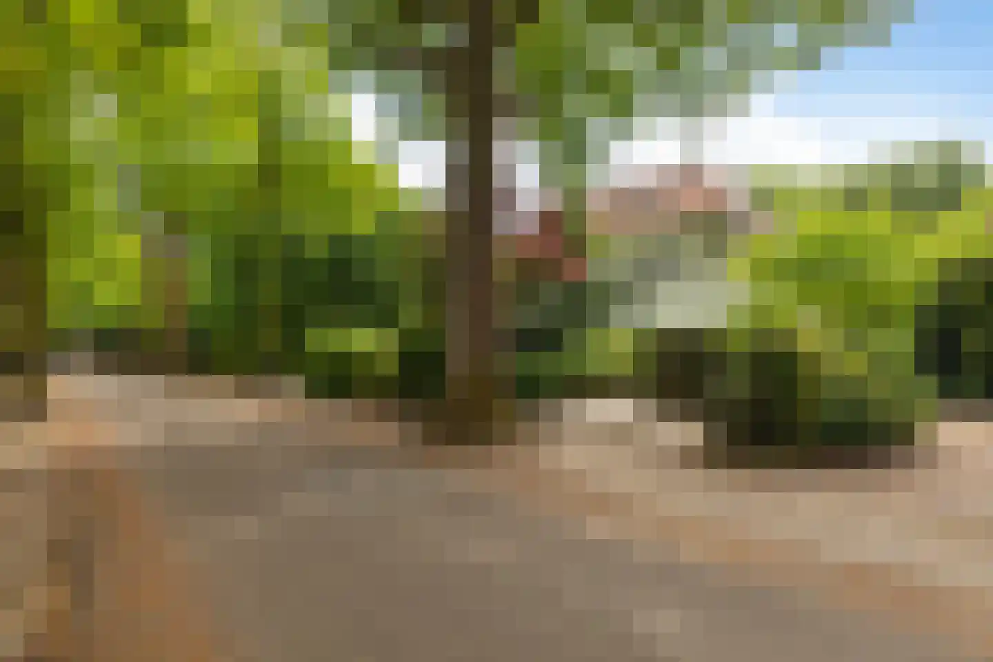 Ferdinand Huycklaan 15 Baarn thumbnail 45