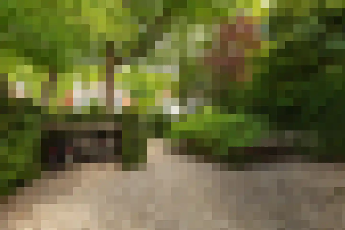 Ferdinand Huycklaan 15 Baarn thumbnail 6