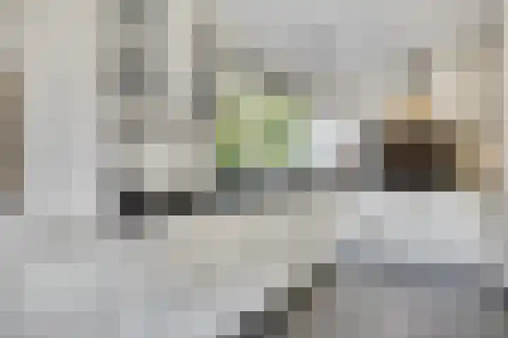Ferdinand Huycklaan 2 D Soest thumbnail 11