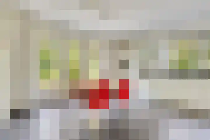 Ferdinand Huycklaan 2 D Soest thumbnail 14