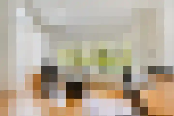 Ferdinand Huycklaan 2 D Soest thumbnail 17