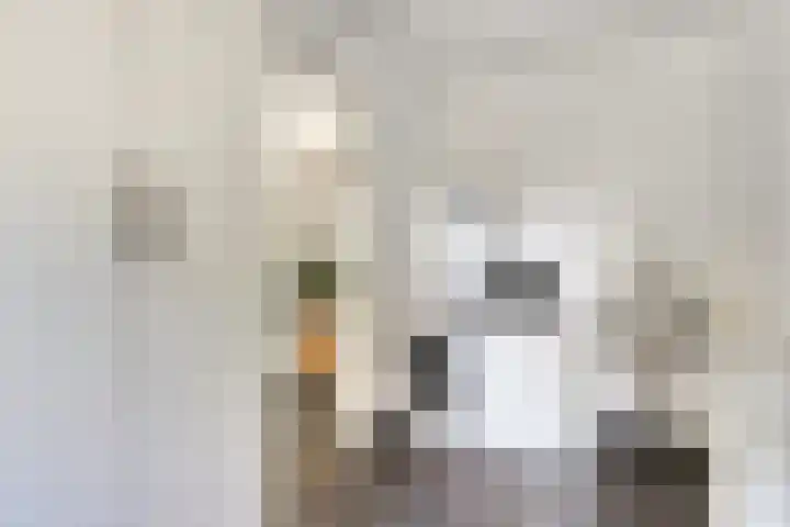 Ferdinand Huycklaan 2 D Soest thumbnail 18