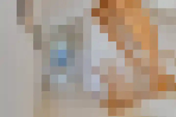 Ferdinand Huycklaan 2 D Soest thumbnail 24