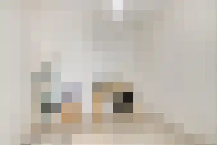Ferdinand Huycklaan 2 D Soest thumbnail 31