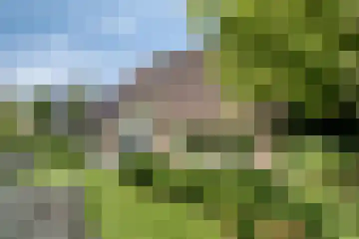 Ferdinand Huycklaan 2 D Soest thumbnail 41