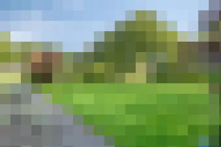 Ferdinand Huycklaan 2 D Soest thumbnail 43