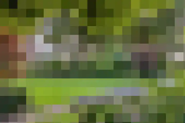 Ferdinand Huycklaan 2 D Soest thumbnail 44