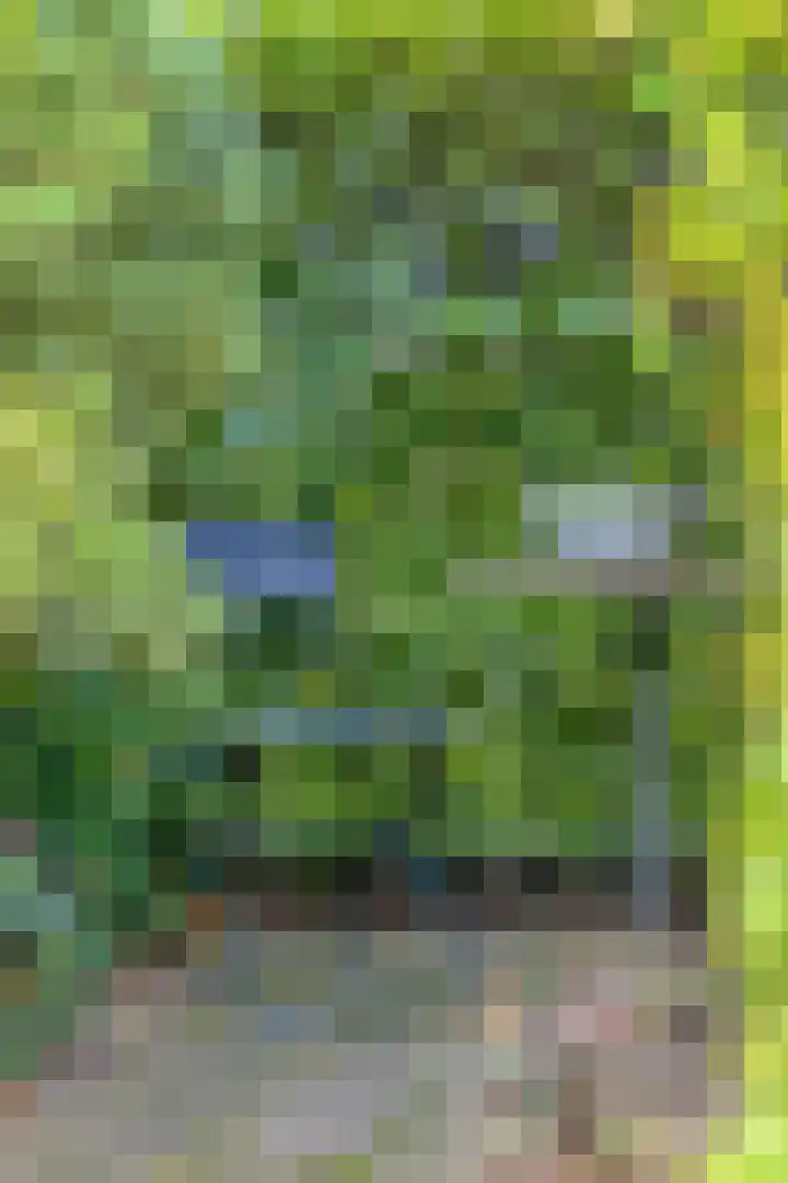 Ferdinand Huycklaan 2 D Soest thumbnail 45