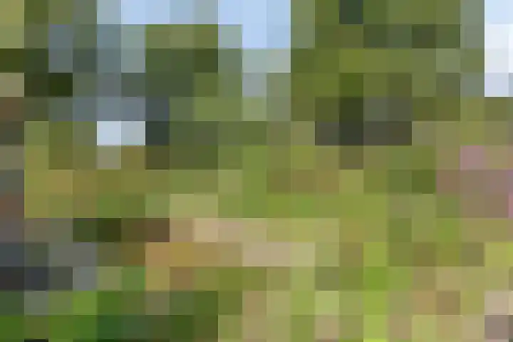 Ferdinand Huycklaan 2 D Soest thumbnail 47