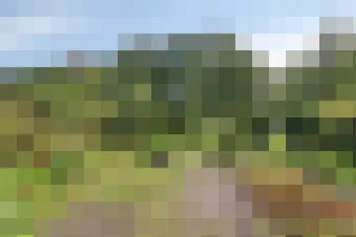 Ferdinand Huycklaan 2 D Soest thumbnail 48