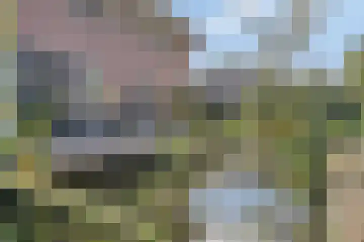 Ferdinand Huycklaan 2 D Soest thumbnail 49