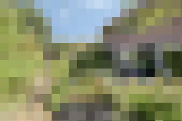 Ferdinand Huycklaan 2 D Soest thumbnail 50