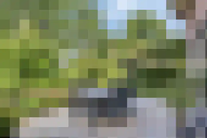 Ferdinand Huycklaan 2 D Soest thumbnail 51