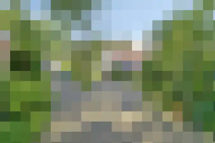 Ferdinand Huycklaan 2 D Soest thumbnail 54