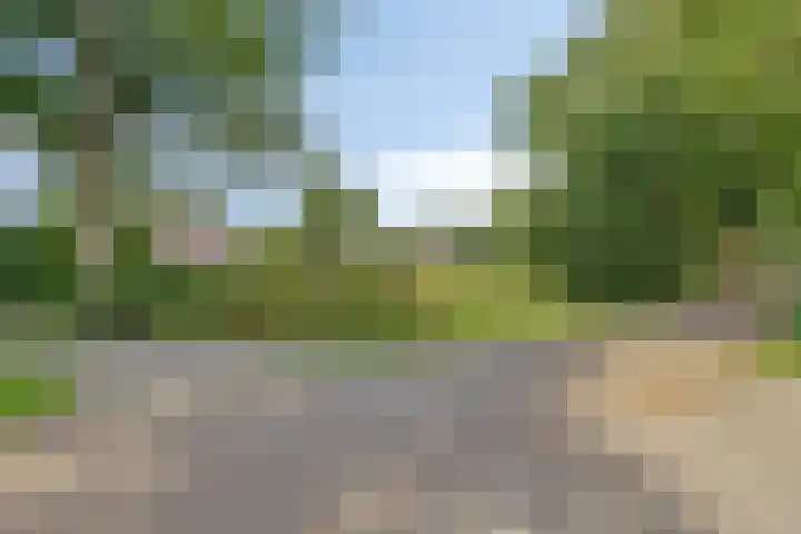 Ferdinand Huycklaan 2 D Soest thumbnail 55