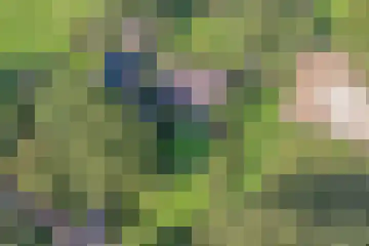 Ferdinand Huycklaan 2 D Soest thumbnail 57