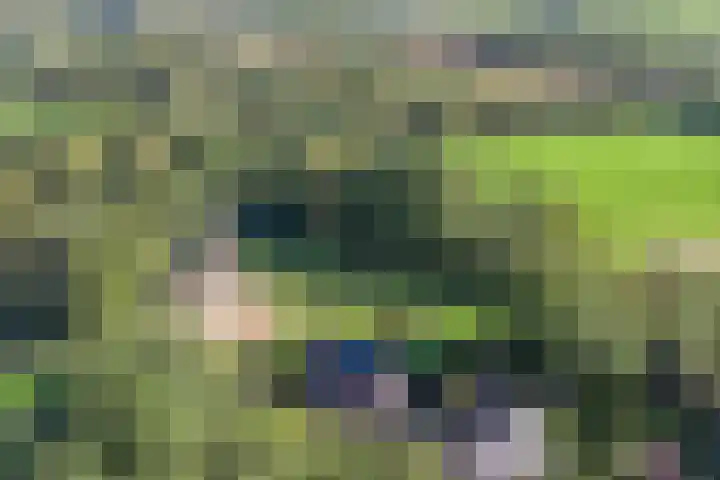 Ferdinand Huycklaan 2 D Soest thumbnail 58