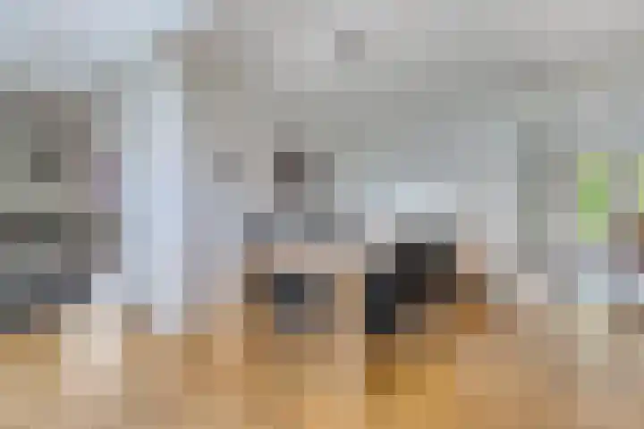 Ferdinand Huycklaan 2 D Soest thumbnail 8