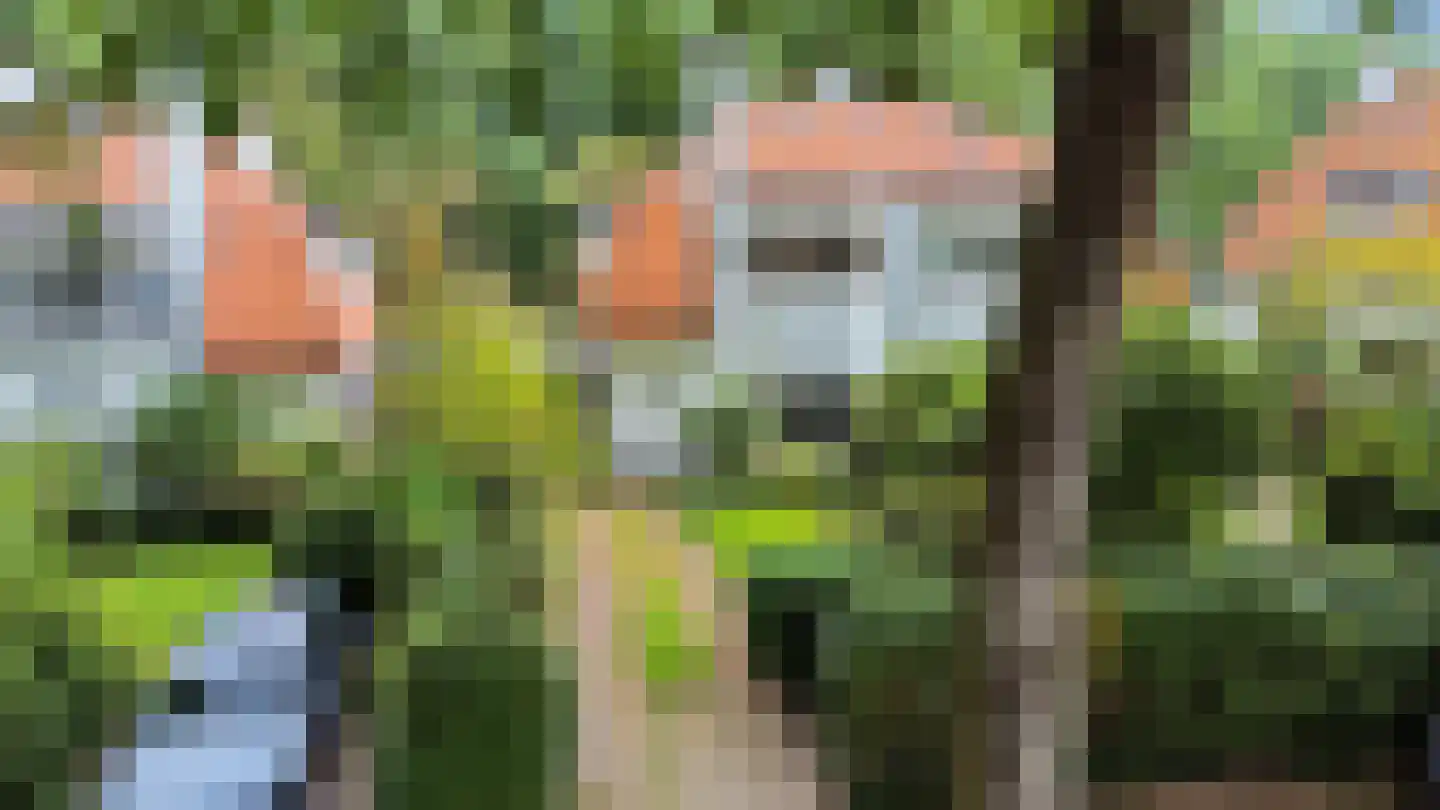 Ferdinand Huycklaan 30 Baarn thumbnail 36
