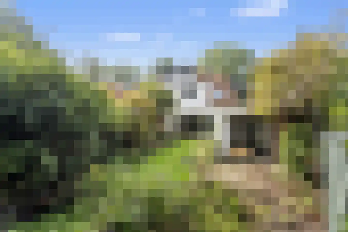 Ferdinand Huycklaan 30 Baarn thumbnail 4