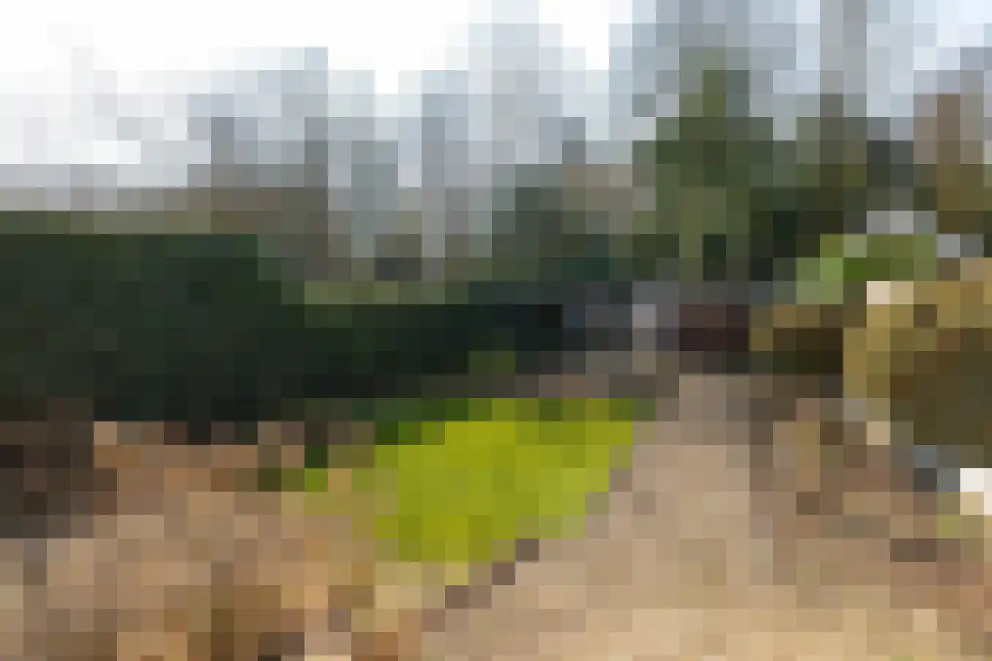 Ferdinand Huycklaan 35 Baarn thumbnail 27