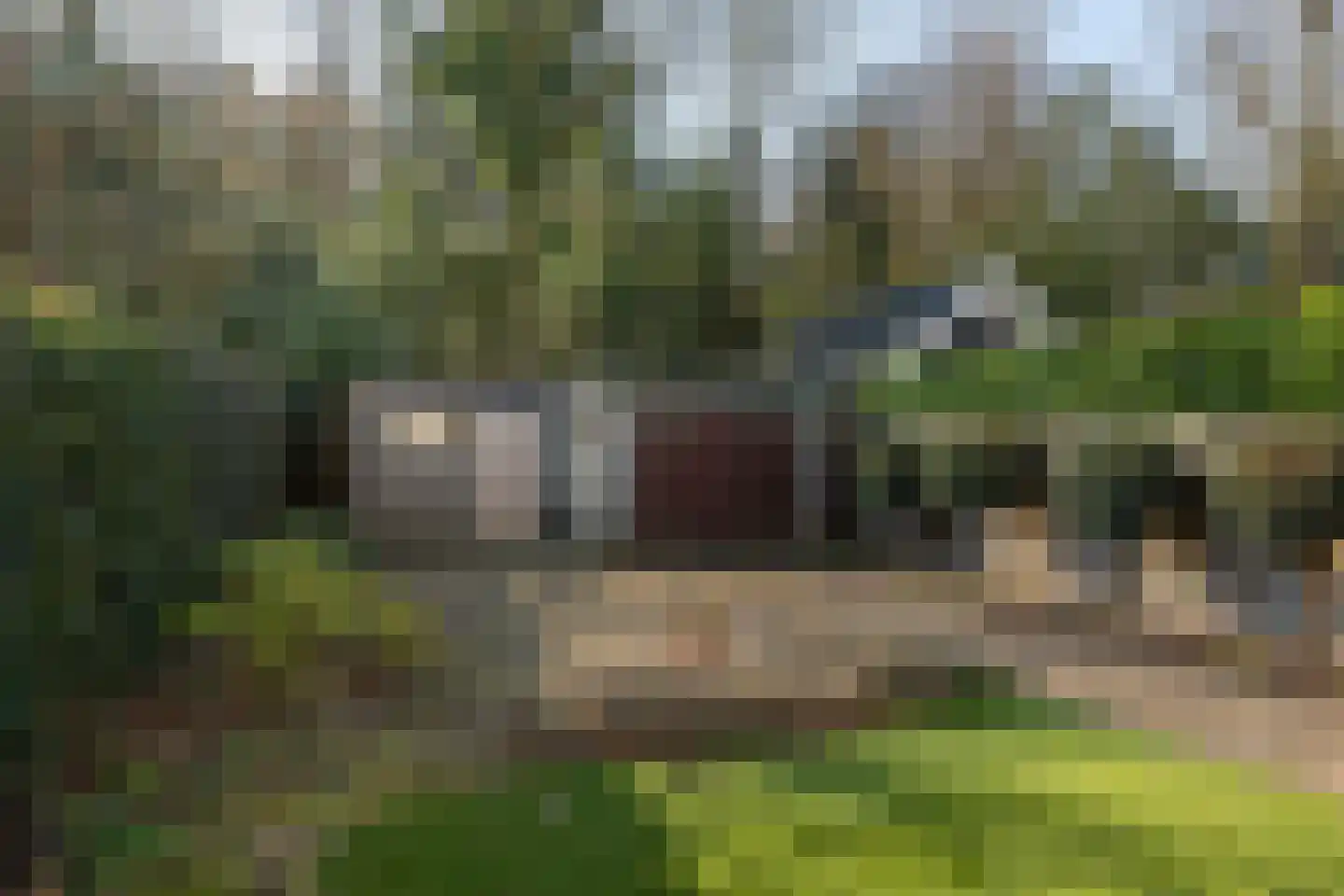 Ferdinand Huycklaan 35 Baarn thumbnail 28