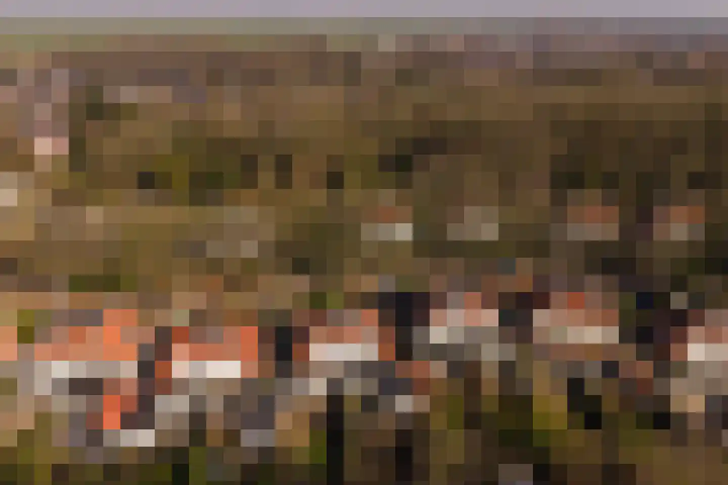 Ferdinand Huycklaan 35 Baarn thumbnail 34