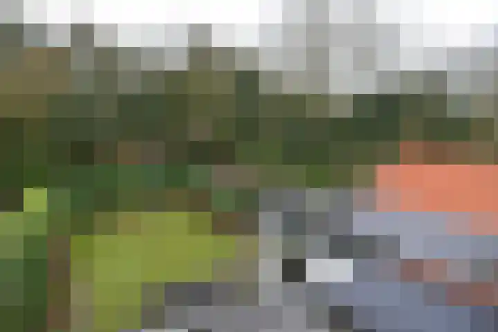 Ferdinand Huycklaan 39 Baarn thumbnail 22