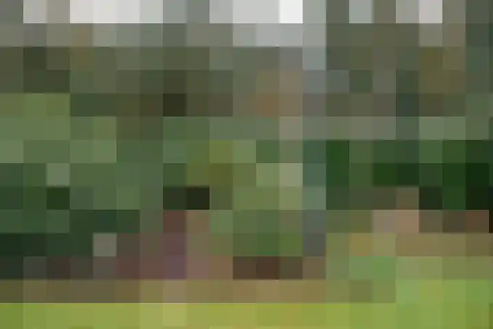 Ferdinand Huycklaan 39 Baarn thumbnail 28