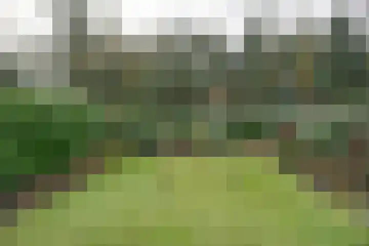 Ferdinand Huycklaan 39 Baarn thumbnail 4
